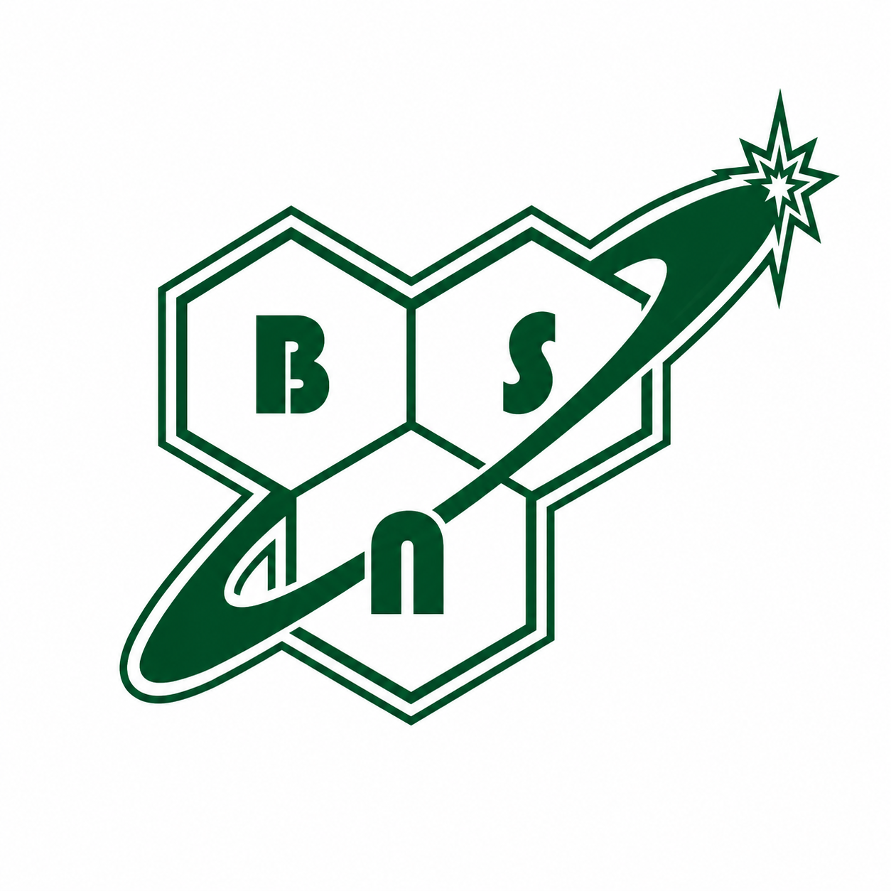 BSN