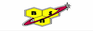 BSN Brand Logo