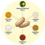 GAT Testrol Gold ES, 60 count - GAT - GAT_Testo_60