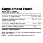 GAT ZMAG-T | 90 Capsules - GAT - GAT_ZMA_90