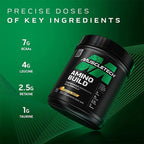 Muscletech Amino Build BCAA Amino Acids + Electrolyte Powder - Muscletech -