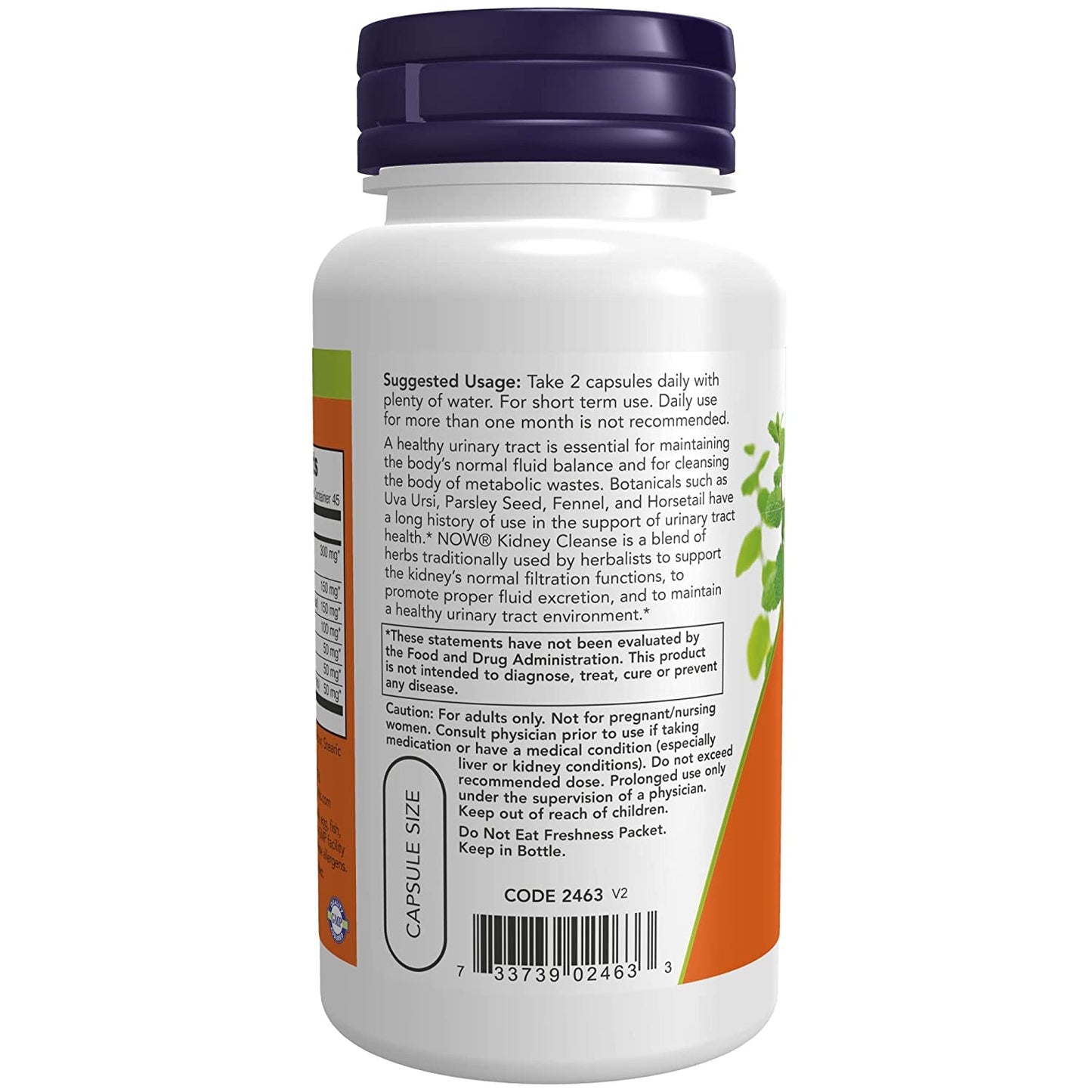 NOW FOODS Kidney Cleanse 90 Veg Capsules