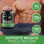 Optimum Nutrition Serious Mass Weight Gainer